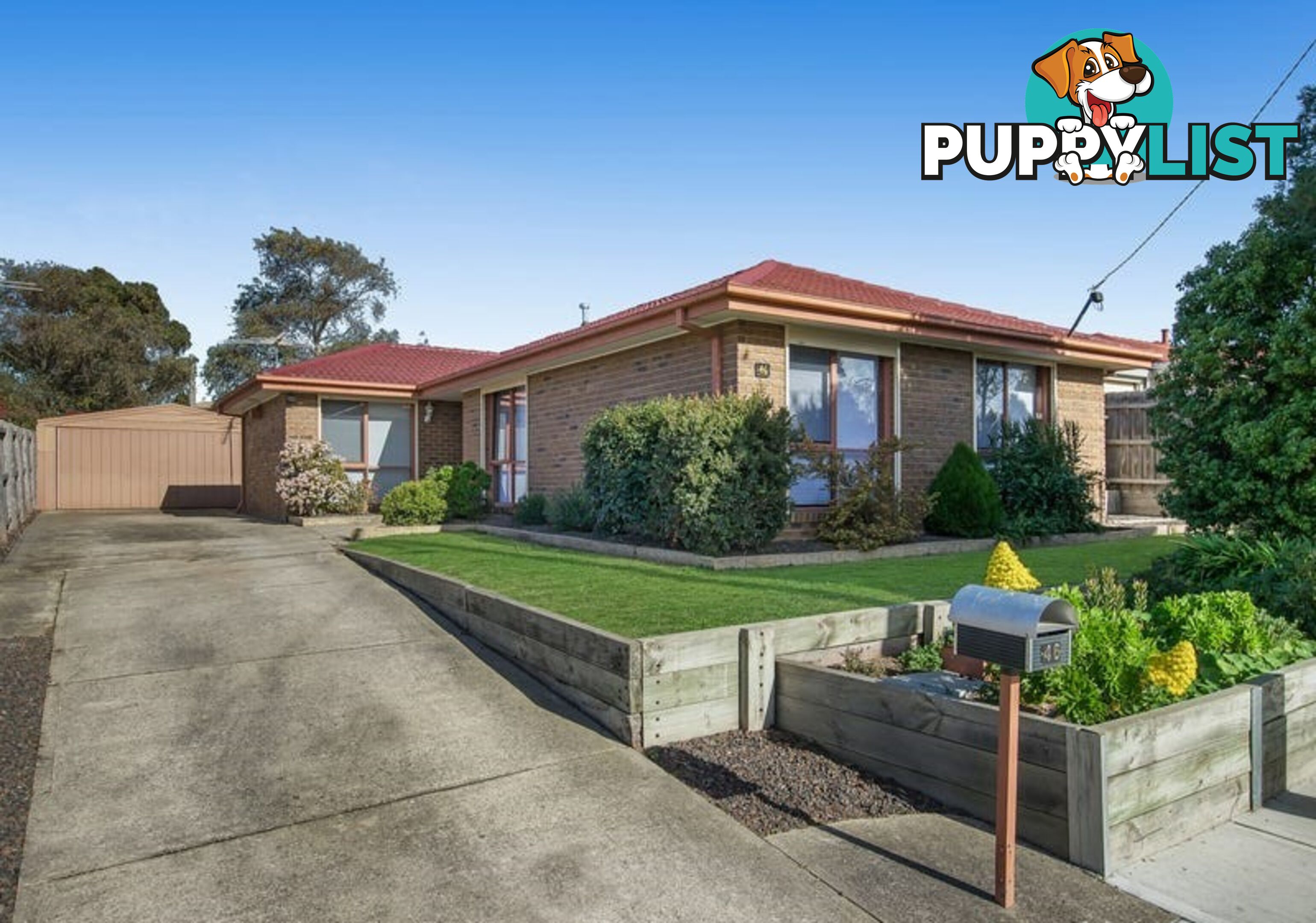 46 Springfield Crescent HAMPTON PARK VIC 3976