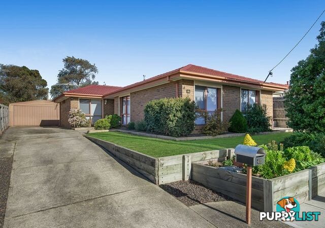 46 Springfield Crescent HAMPTON PARK VIC 3976