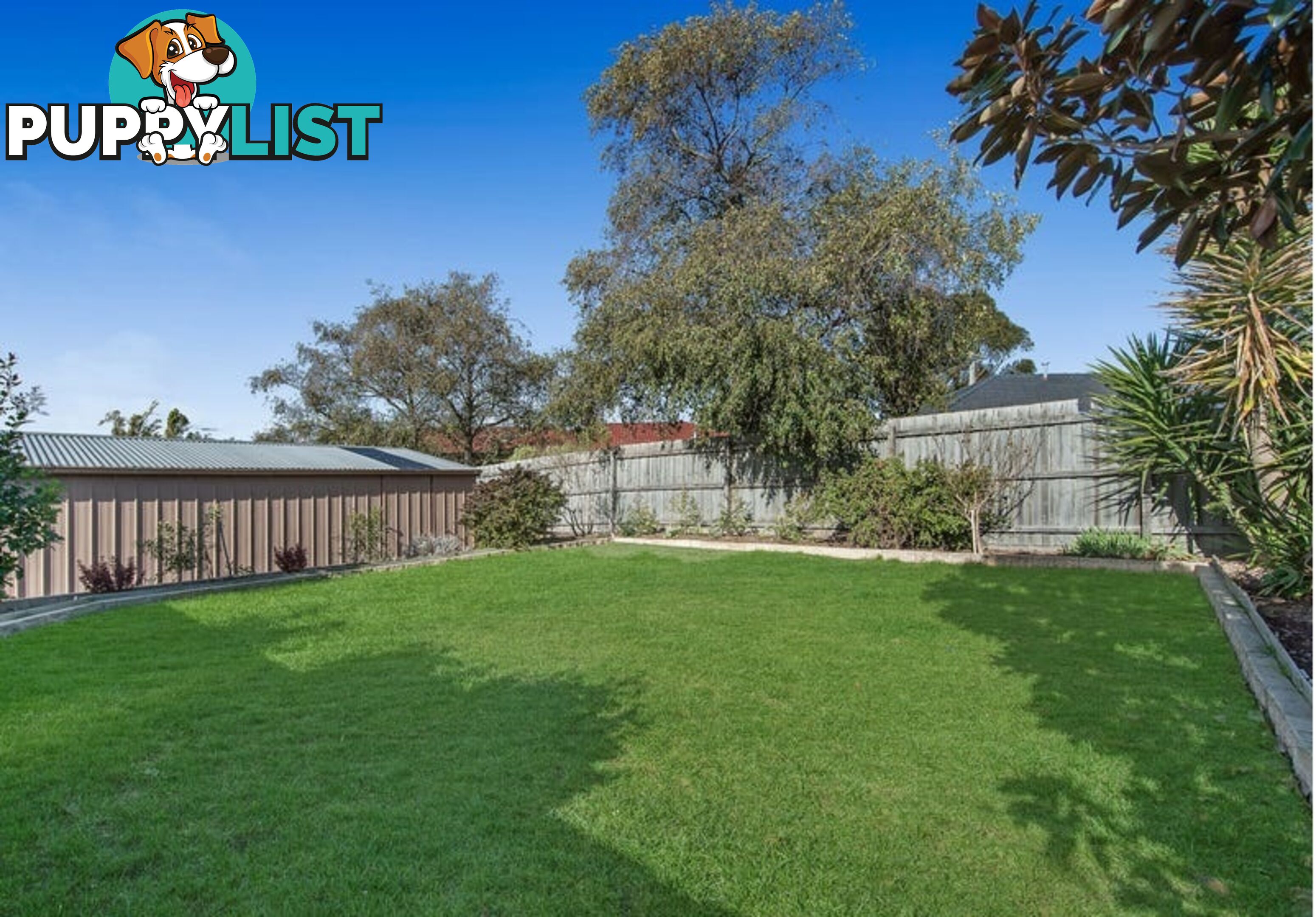 46 Springfield Crescent HAMPTON PARK VIC 3976