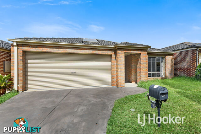 16 Domino Way HAMPTON PARK VIC 3976