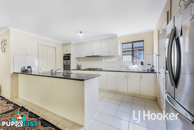 16 Domino Way HAMPTON PARK VIC 3976