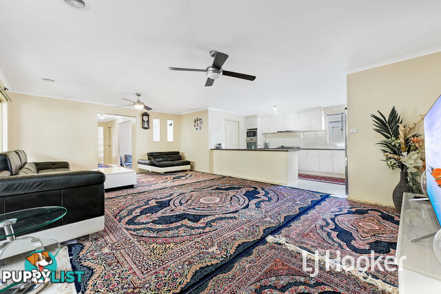 16 Domino Way HAMPTON PARK VIC 3976