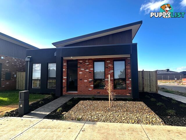 6 Winx Lane CRANBOURNE EAST VIC 3977