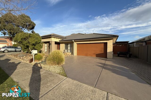 13 Tanner Avenue CRANBOURNE EAST VIC 3977