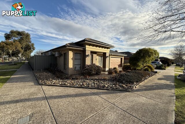 13 Tanner Avenue CRANBOURNE EAST VIC 3977