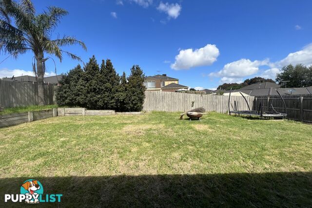 30 Olive Road LYNBROOK VIC 3975