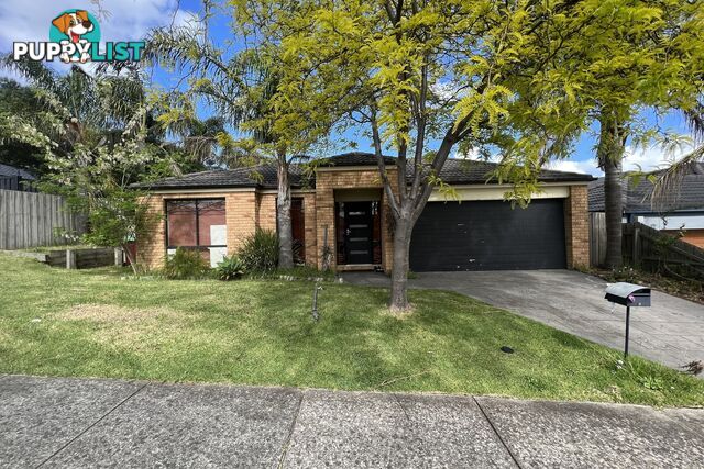 30 Olive Road LYNBROOK VIC 3975