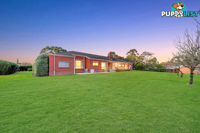 19 Carolyn Close NARRE WARREN NORTH VIC 3804