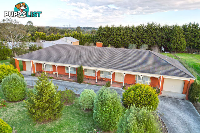 19 Carolyn Close NARRE WARREN NORTH VIC 3804