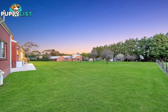19 Carolyn Close NARRE WARREN NORTH VIC 3804