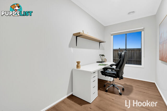17 Liwen Street CLYDE NORTH VIC 3978