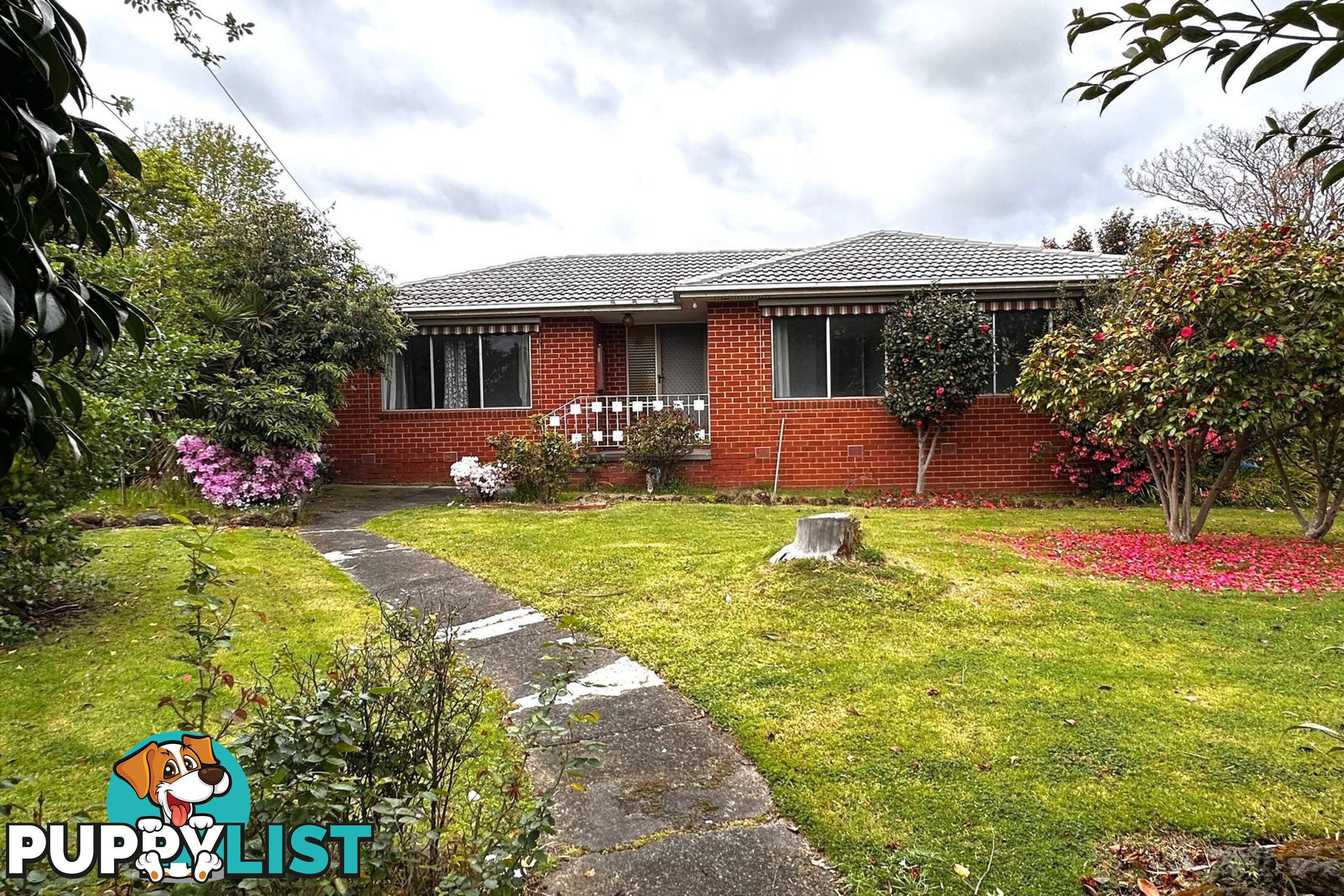 15 Richardson Street NARRE WARREN VIC 3805