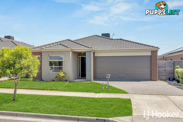 16 Bankton Avenue CRANBOURNE EAST VIC 3977