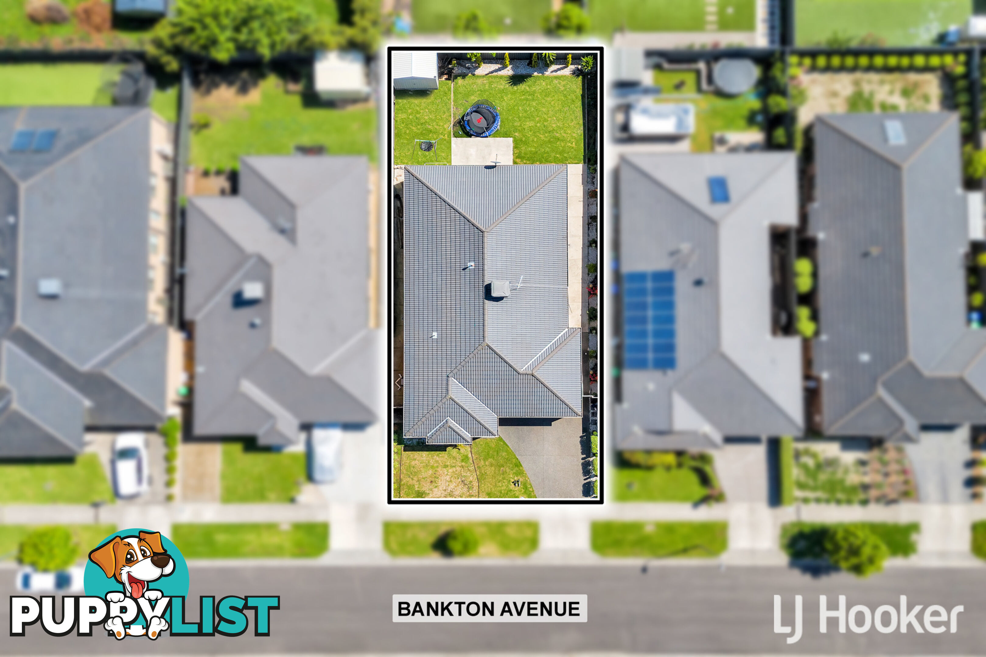 16 Bankton Avenue CRANBOURNE EAST VIC 3977