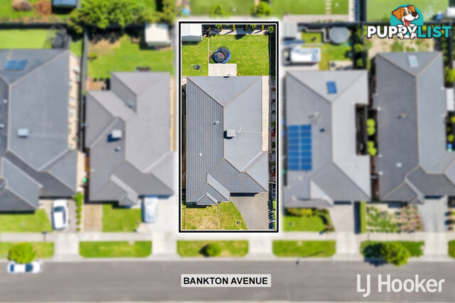 16 Bankton Avenue CRANBOURNE EAST VIC 3977