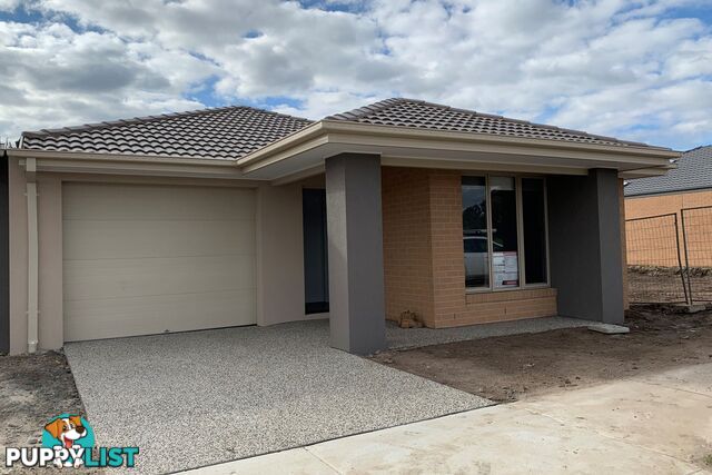 44 Scotland Circuit CRANBOURNE WEST VIC 3977