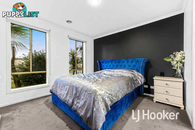 61 Elliott Parade LYNBROOK VIC 3975