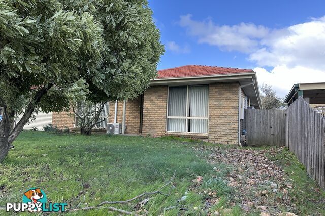 35 Ashfield Drive BERWICK VIC 3806