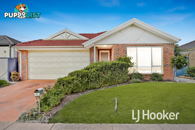 61 The Parkway PAKENHAM VIC 3810