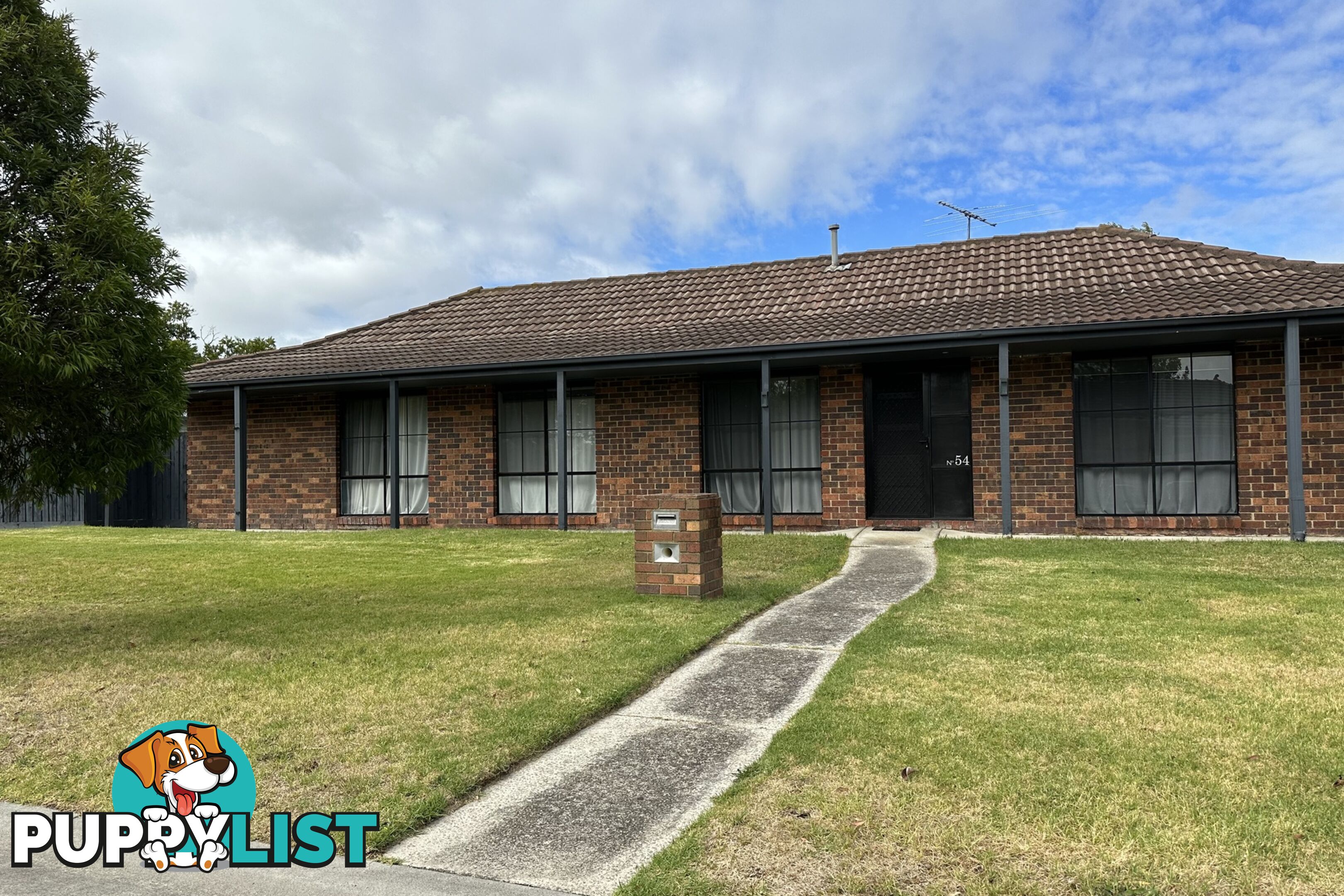 54 Aquarius Drive FRANKSTON VIC 3199