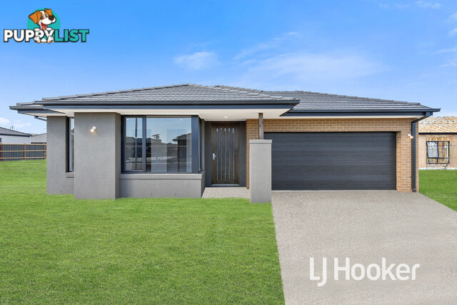21 Nigella Street CLYDE VIC 3978