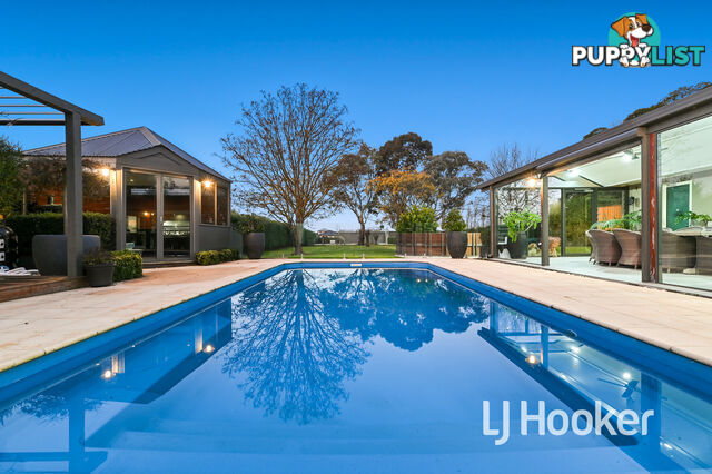 36 Collison Road CRANBOURNE EAST VIC 3977