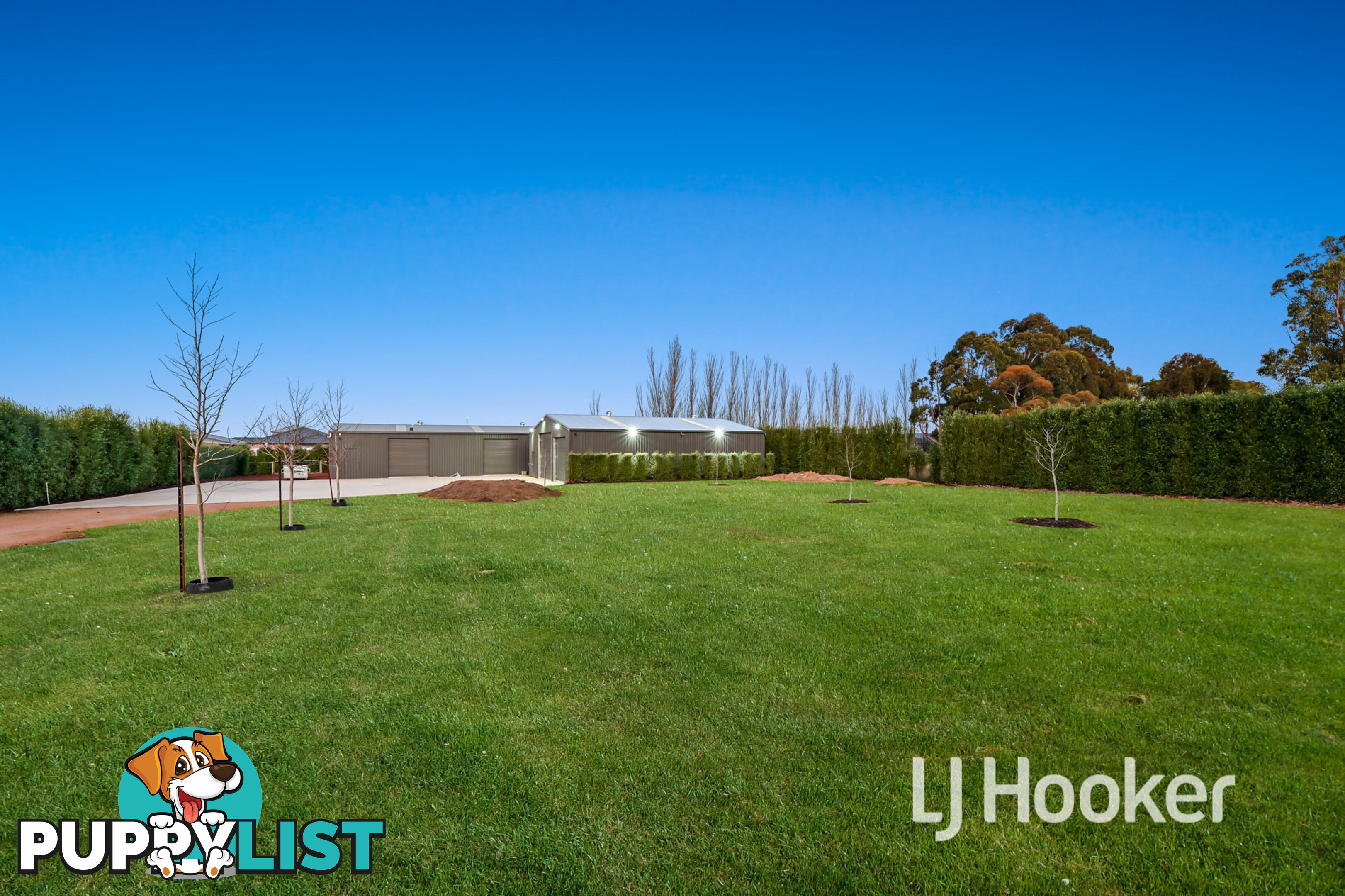 36 Collison Road CRANBOURNE EAST VIC 3977