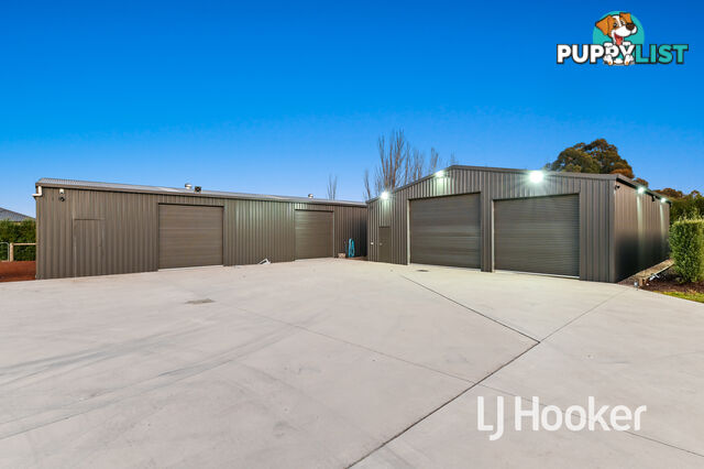 36 Collison Road CRANBOURNE EAST VIC 3977