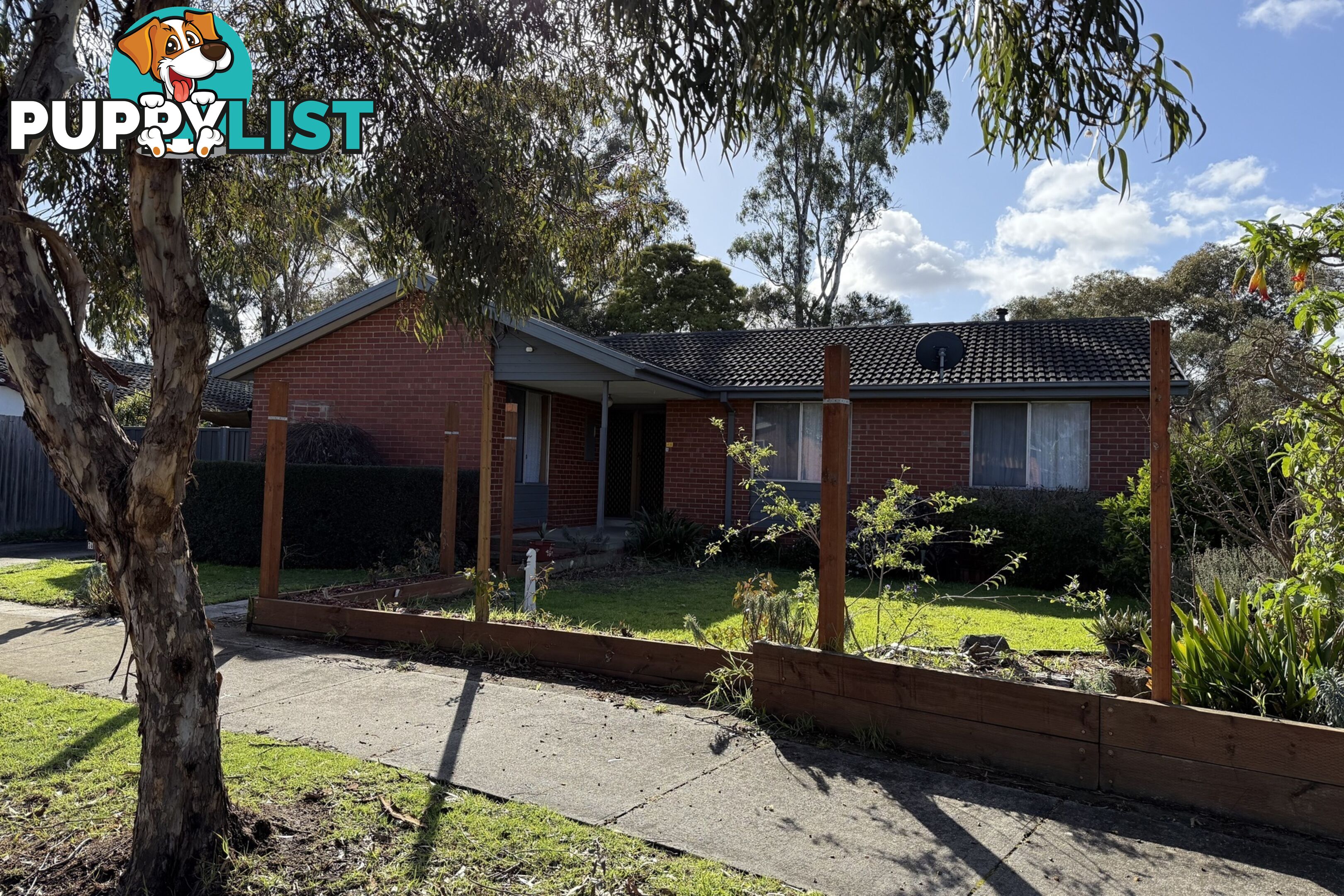 36 Green Valley Crescent HAMPTON PARK VIC 3976