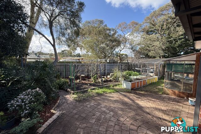 36 Green Valley Crescent HAMPTON PARK VIC 3976