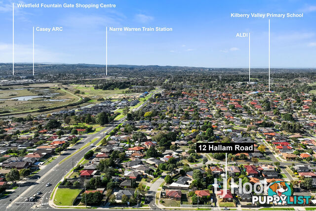 12 Hallam Road HAMPTON PARK VIC 3976