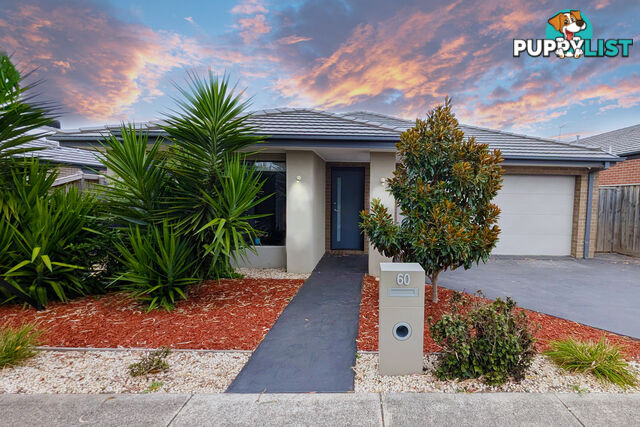 60 Songlark Crescent CARRUM DOWNS VIC 3201
