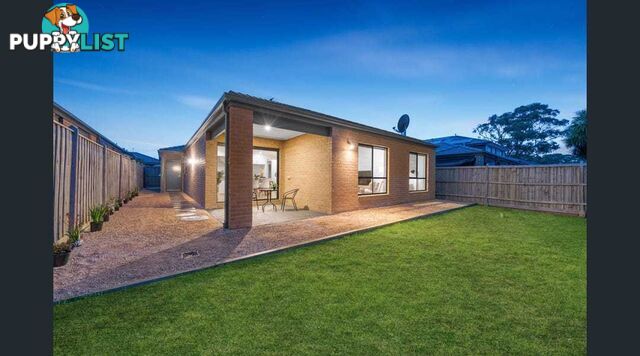60 Songlark Crescent CARRUM DOWNS VIC 3201
