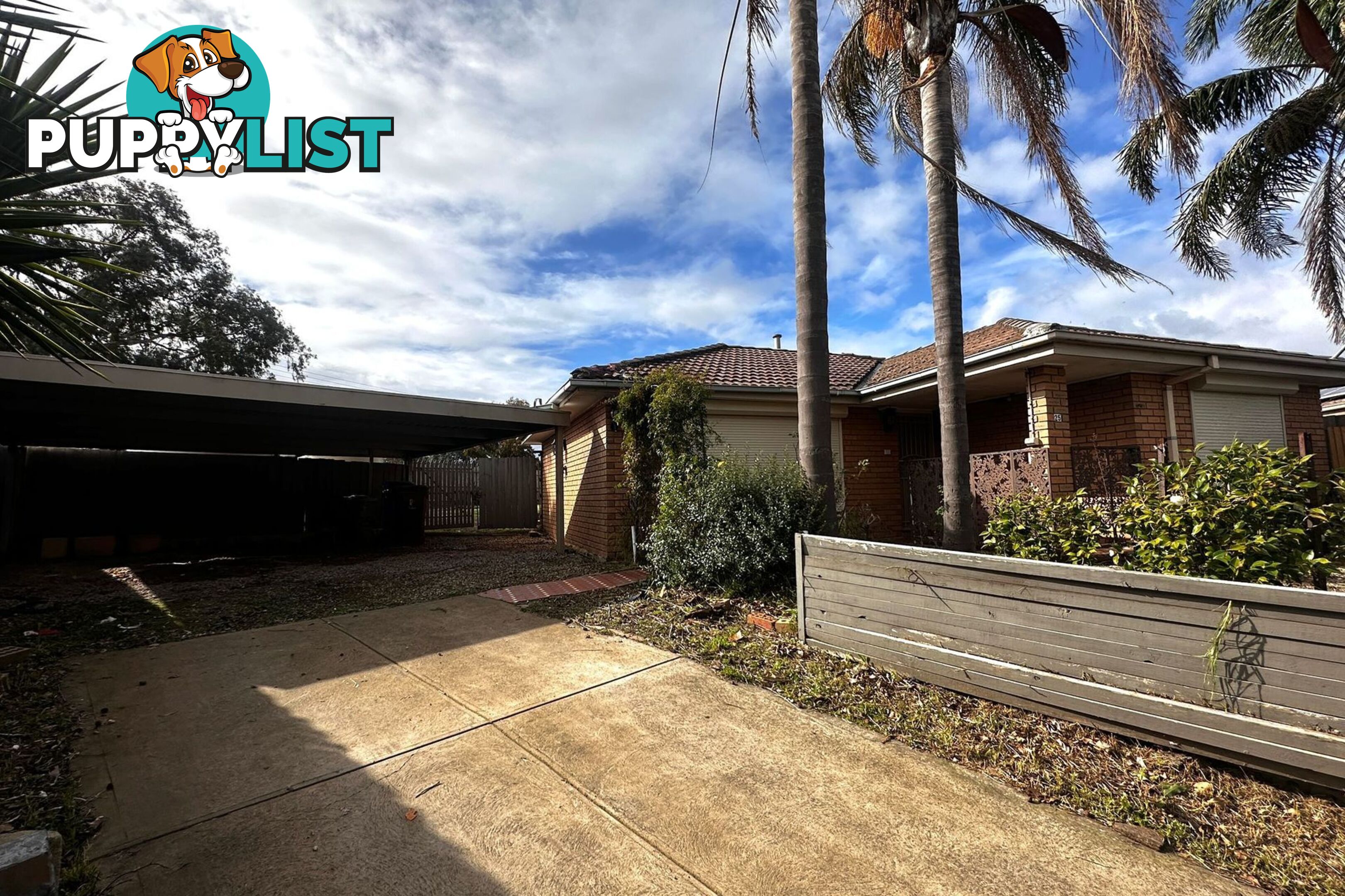 25 Simon Court HAMPTON PARK VIC 3976