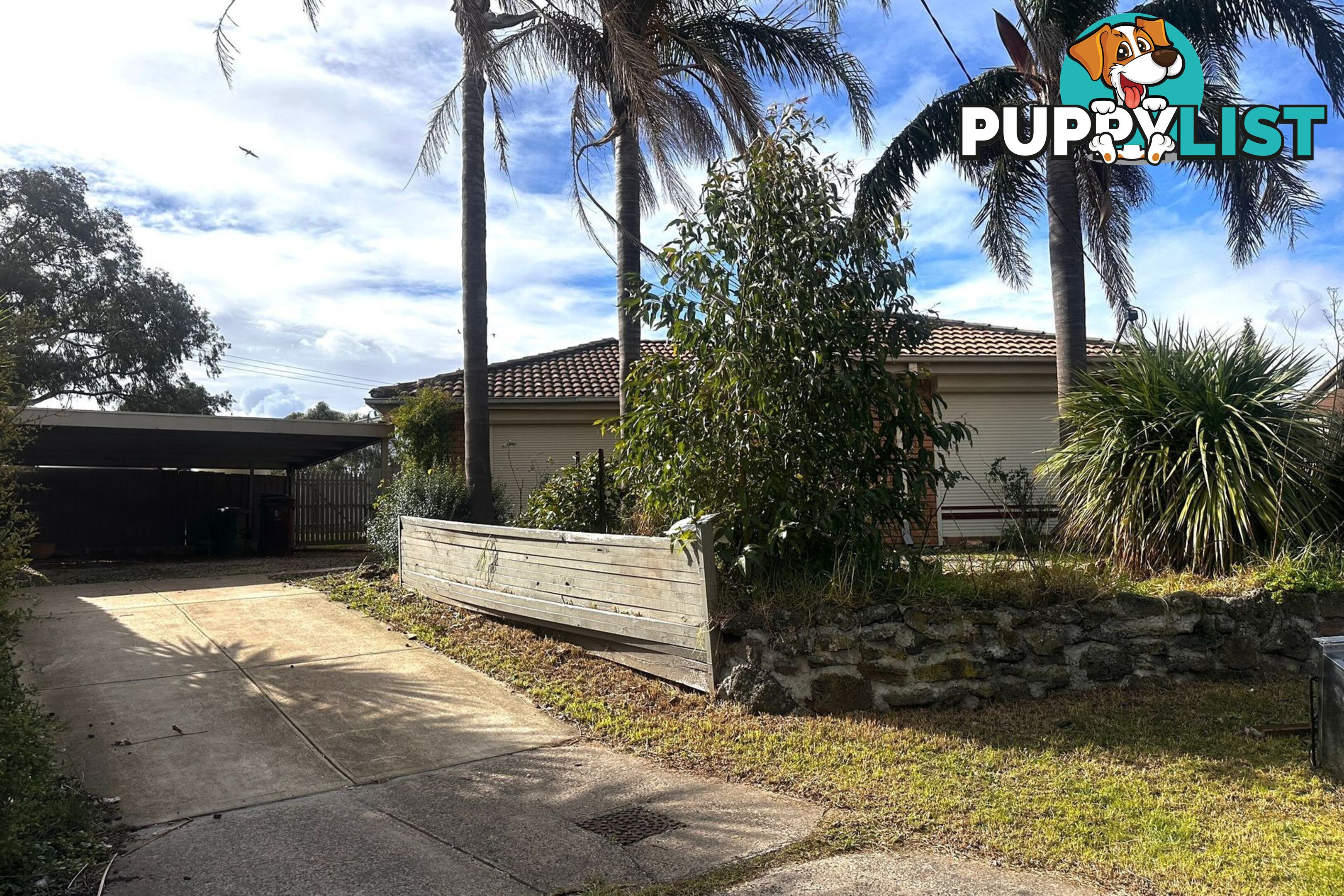 25 Simon Court HAMPTON PARK VIC 3976