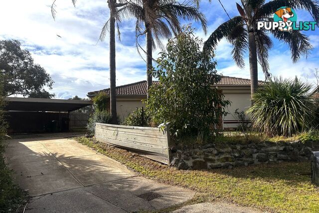 25 Simon Court HAMPTON PARK VIC 3976