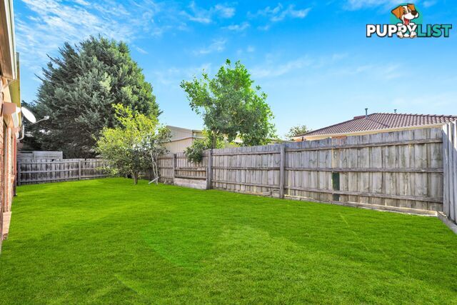8 Slessor Avenue LYNBROOK VIC 3975