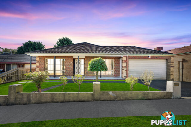 8 Slessor Avenue LYNBROOK VIC 3975