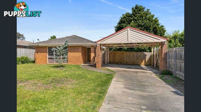 8 Erin Court HAMPTON PARK VIC 3976