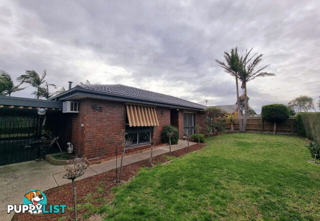 64 Millswyn Avenue HAMPTON PARK VIC 3976