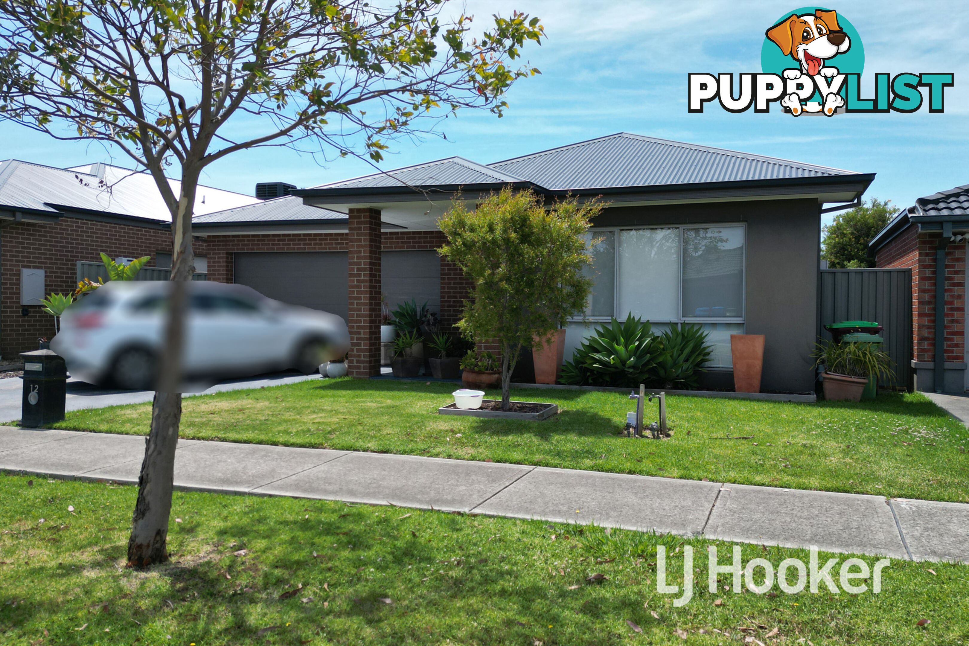 12 Starling Street CRANBOURNE EAST VIC 3977