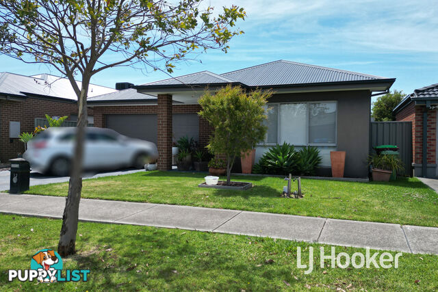 12 Starling Street CRANBOURNE EAST VIC 3977