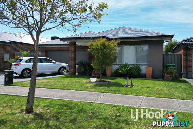 12 Starling Street CRANBOURNE EAST VIC 3977