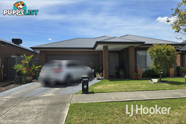 12 Starling Street CRANBOURNE EAST VIC 3977