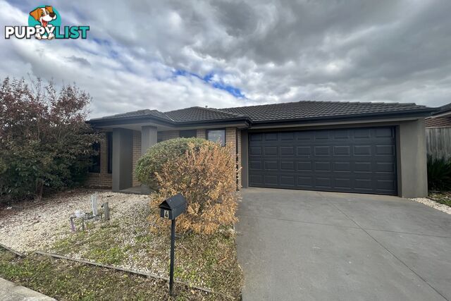 4 Gathering Street CLYDE VIC 3978