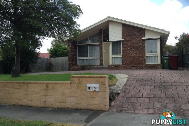 12 Tripoli Court HALLAM VIC 3803