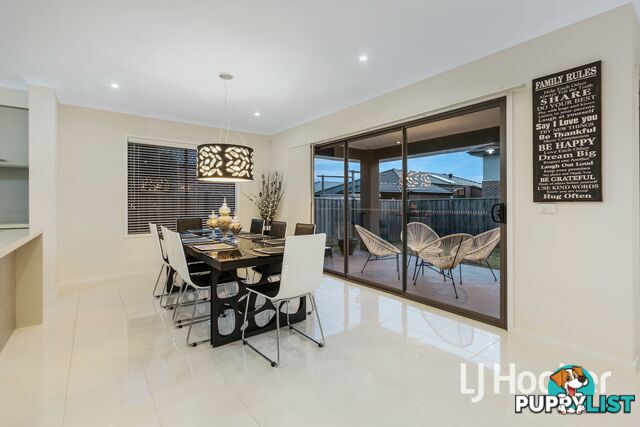 41 Lemon Grove CRANBOURNE WEST VIC 3977