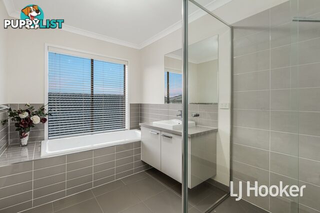 41 Lemon Grove CRANBOURNE WEST VIC 3977