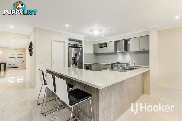 41 Lemon Grove CRANBOURNE WEST VIC 3977