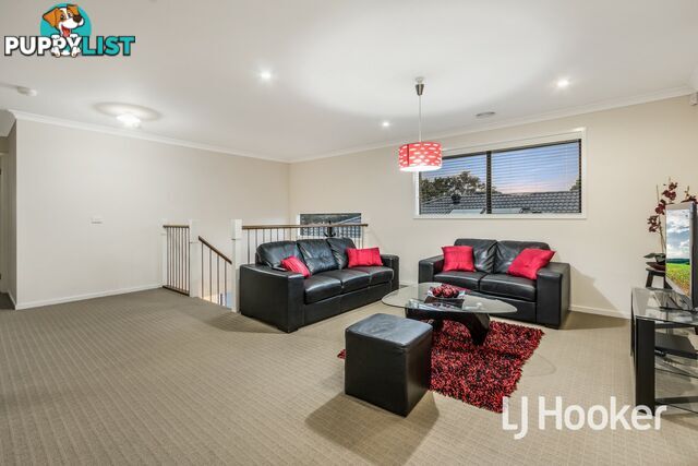 41 Lemon Grove CRANBOURNE WEST VIC 3977